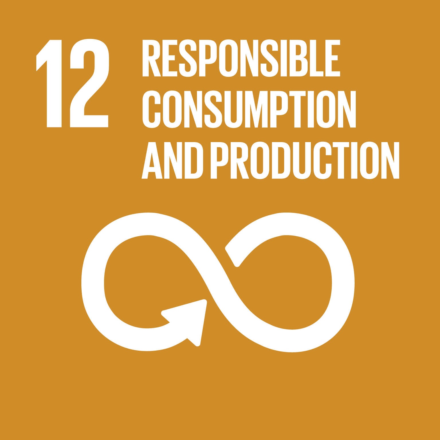 12 - Responsible consumption and production