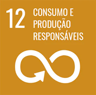 12 - Consumo e produção responsáveis - Símbolo do infinito