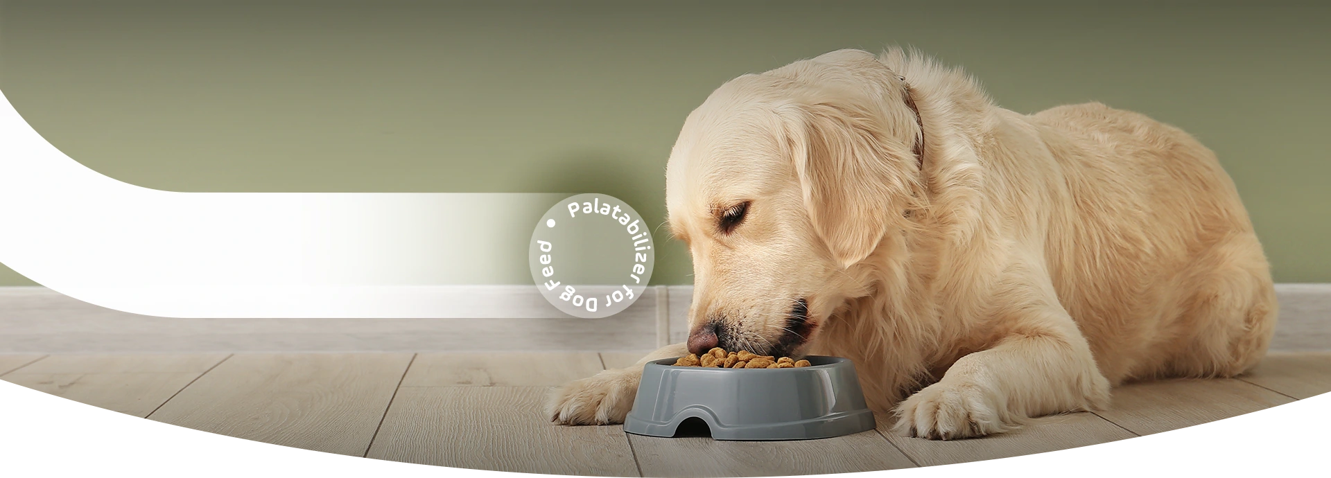 Cachorro deitado comendo ração em seu pote.