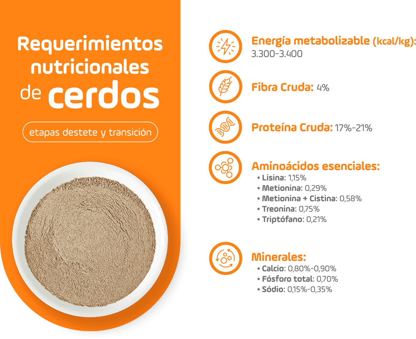 Requerimientos nutricionales de cerdos - etapas destete y transicíon